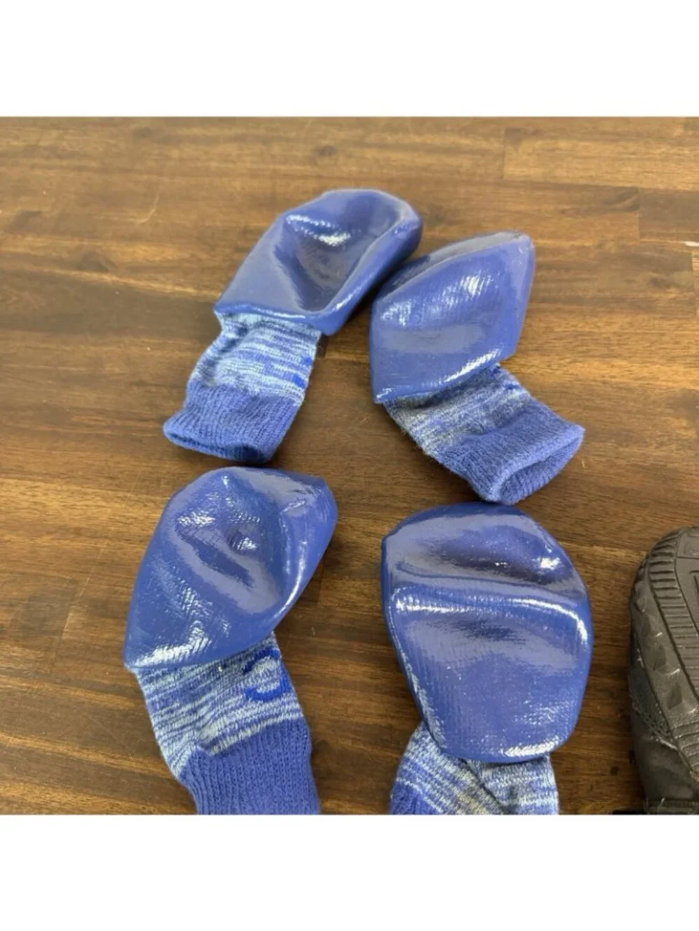 Canine Equipment Trail Boot Blue MEDIUM M & RC Pet Products Sporty PAWks 4993